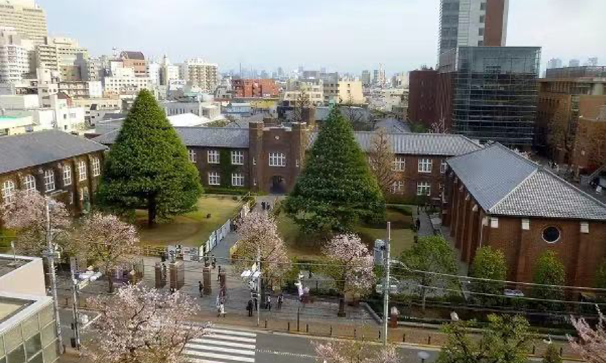 /uploads/image/2022/07/06/c29017c20ae95f3a8ded5c3de9325f87.png 立教大学校区.png