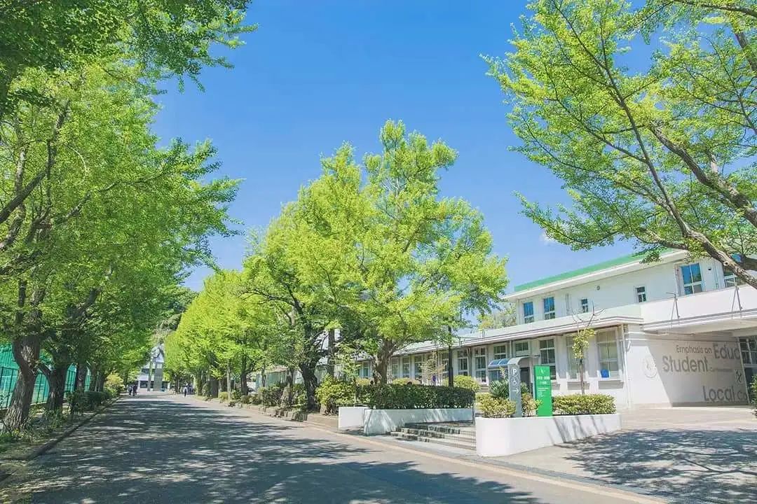 /uploads/image/2023/06/27/7f0dab3df663200e2ece47b94579f8e1.jpg 640 (17).jpg