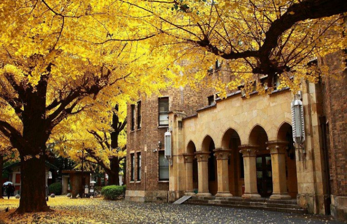 /uploads/image/2023/10/25/0b058e67743430052f4d6c8afb3eb91a.png 640 (2).png