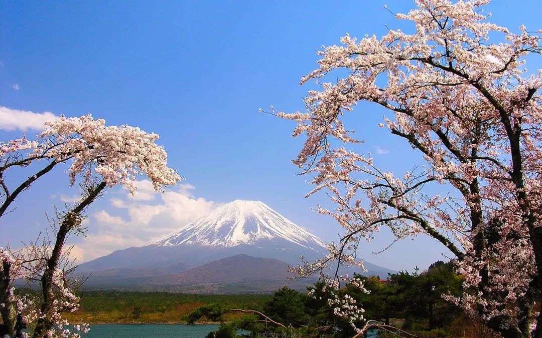 美术生去日本考研的条件